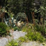 Jardins botaniques de Wellington