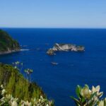 La mer de Tasmanie pacifique vers Haast
