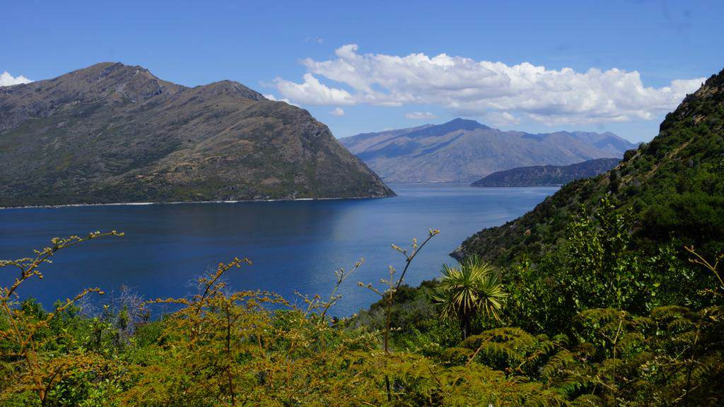 You are currently viewing De Haast à Wanaka