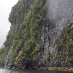 Doubtfull Sound Nordland Navigator tourisme des Sounds