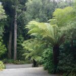 Botanic garden de Christchurch